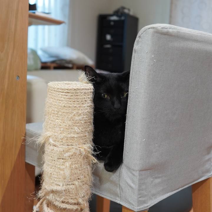 7078b987 a9fd 414a 9081 27f40efeac28 1597143014230