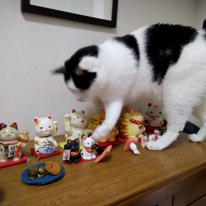 7078c5d1 d8f0 4880 a6f9 43d9bf4c6c26 1550801912573