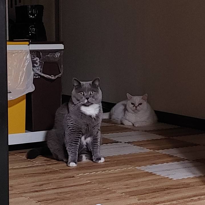 7078d537 5d81 4d5b 82f4 3824b665abc4 1654169800643