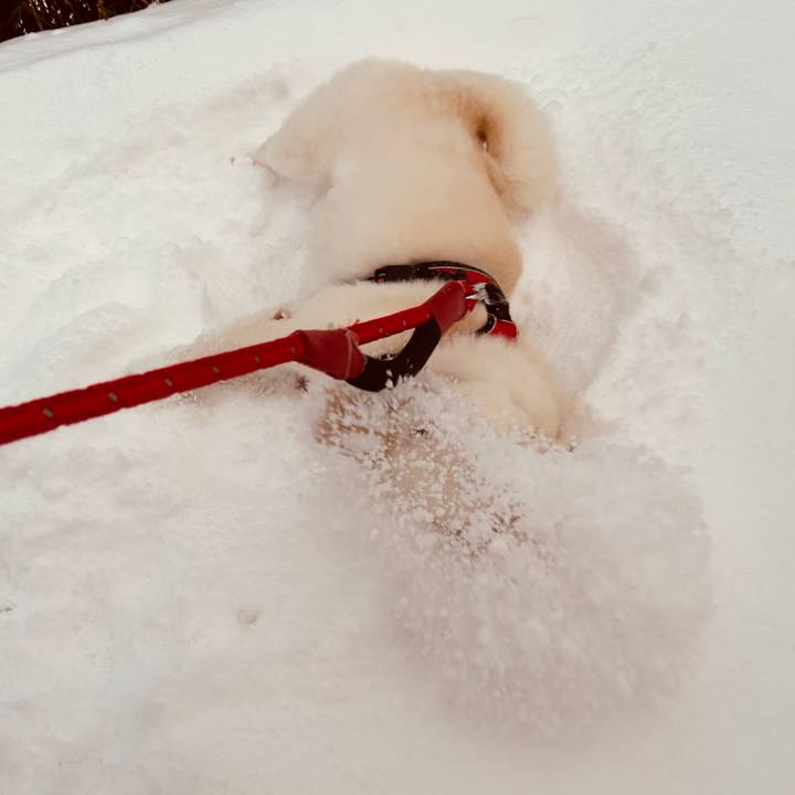 7078fcf1 9ccd 44a4 8590 41e70c40030d 1702508471271