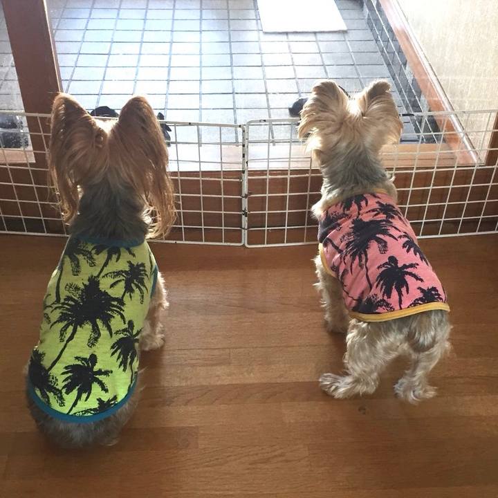 7078fea6 0d4d 47db 999f d366b730d8c0 1548493023404