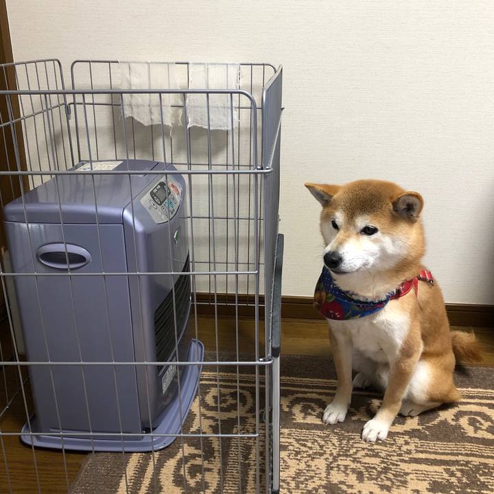 70790112 8c5e 453d 989b f82d320dfa4c 1546765583860