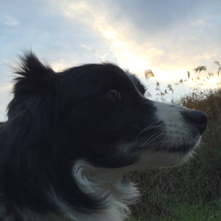 70792af7 9a3e 46f9 bd39 580adc059975 1543962188841