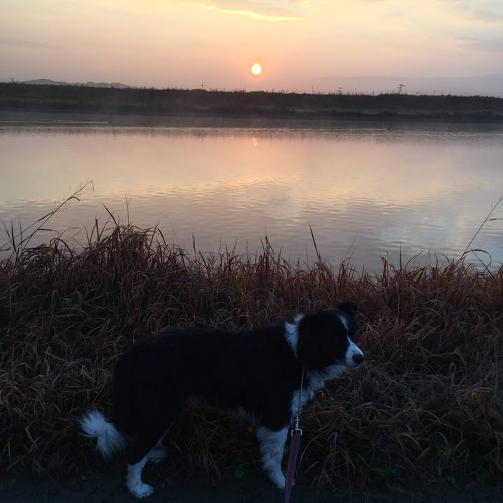 70794c51 ecba 4b51 b787 ed414c6a714e 1579044639798