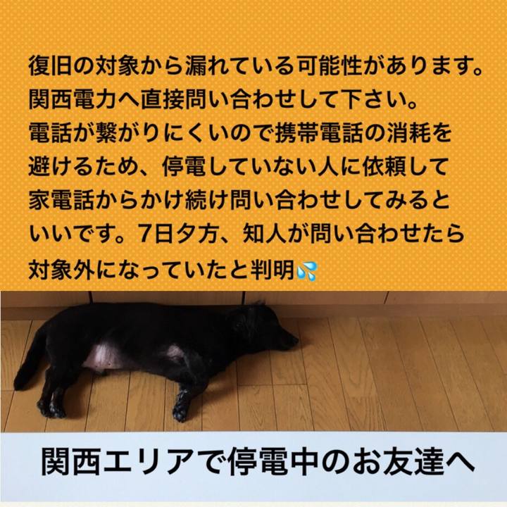 7079511f e687 4542 8726 b895bf81fe89 1536319626137