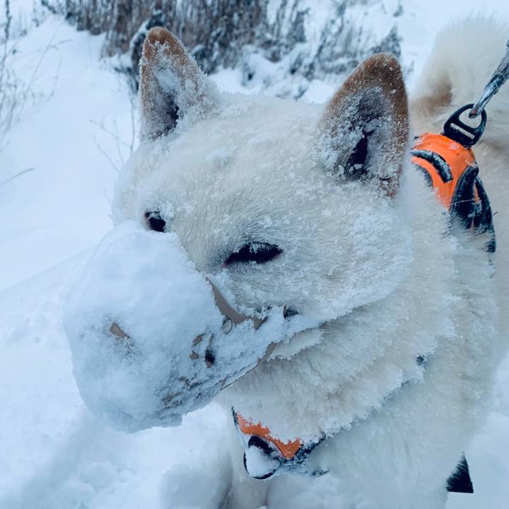 70799a5e 0dd2 46d8 84a6 8b1e2bba0289 1669852361536