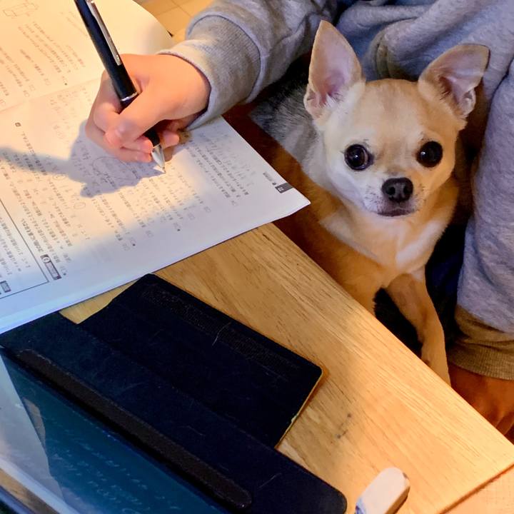 70799ba8 6b82 4805 adaf fdba7b355ac5 1587124549921