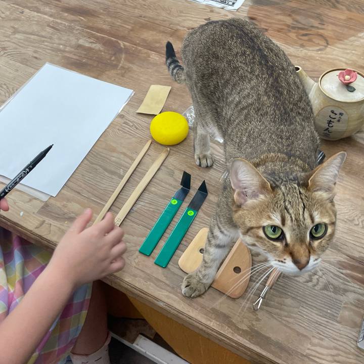 7079c878 b818 4b42 9f21 14ce69070158 1712978899493