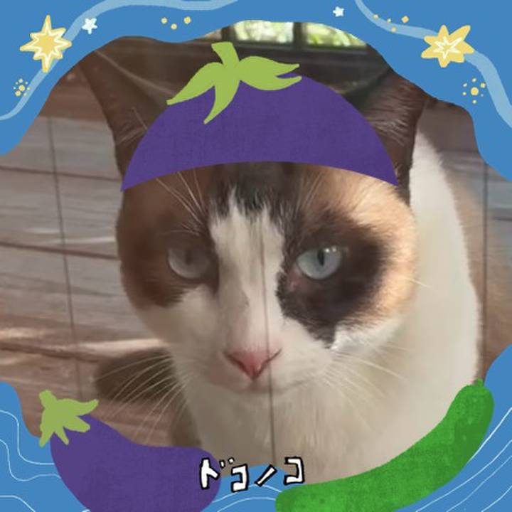 7079c9af 56d9 4ba1 a081 d76768449274 1755055949040