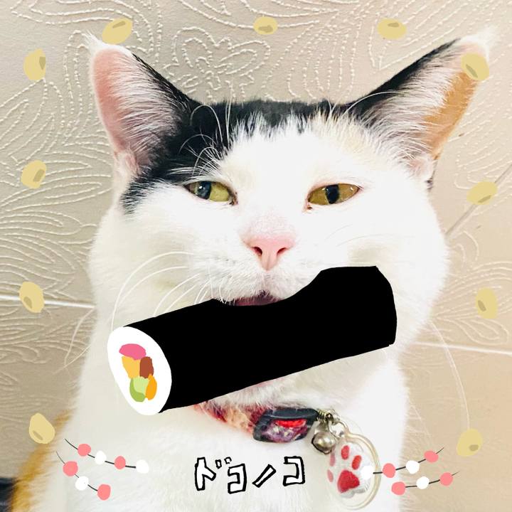 7079cf63 a466 4945 a661 873c54b2890a 1741101455096