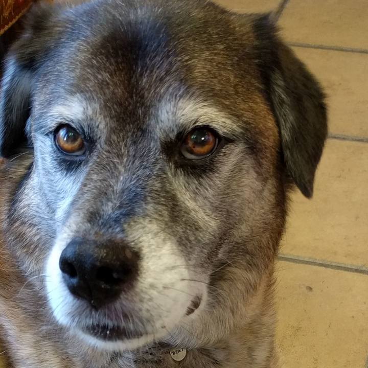 7079d178 9872 4a18 b49d 0cebd819a15f 1530364847203