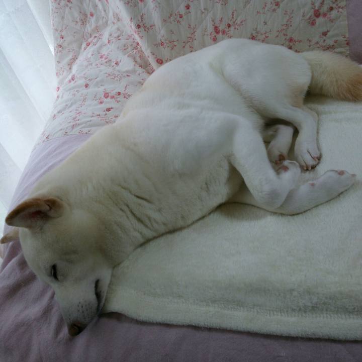 7079da15 01d0 40d3 b34c be0ee1e983b0 1551677376779