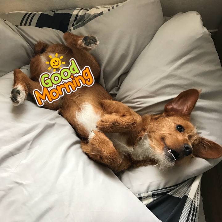 7079eb21 4b55 4e7d ab47 411e9839441b 1528845949282