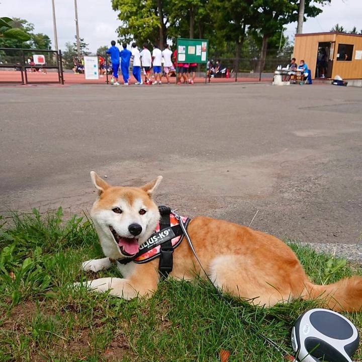 707a273f b938 4046 8b66 6aecdc255b8b 1599275632223