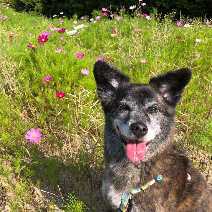 707a34da b968 407d 8839 25e9338dfac9 1684760724997