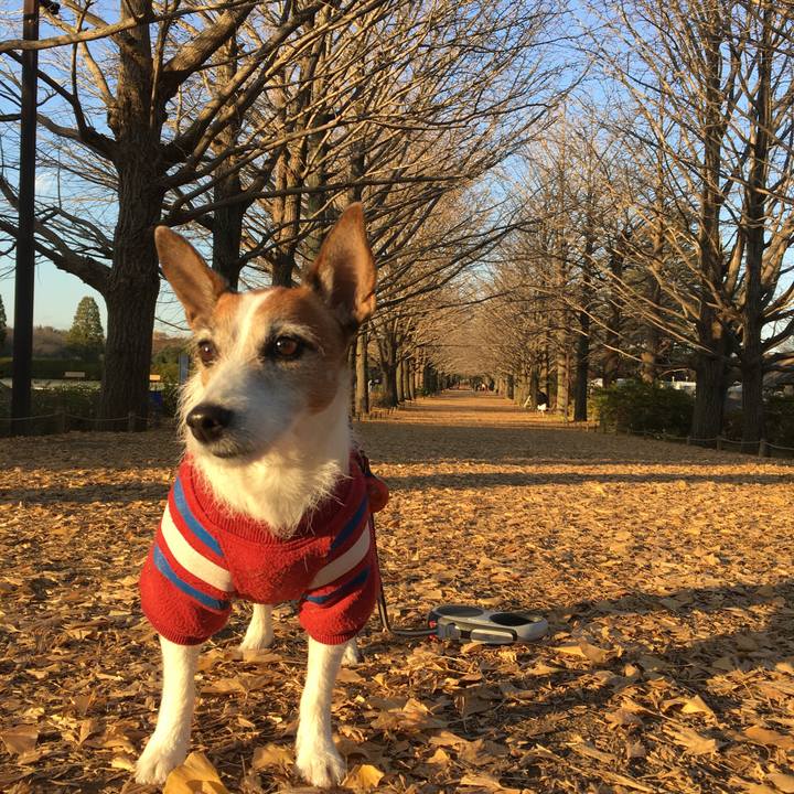 707a4dcd 1def 4af7 8e8c f12538625be4 1576540476429