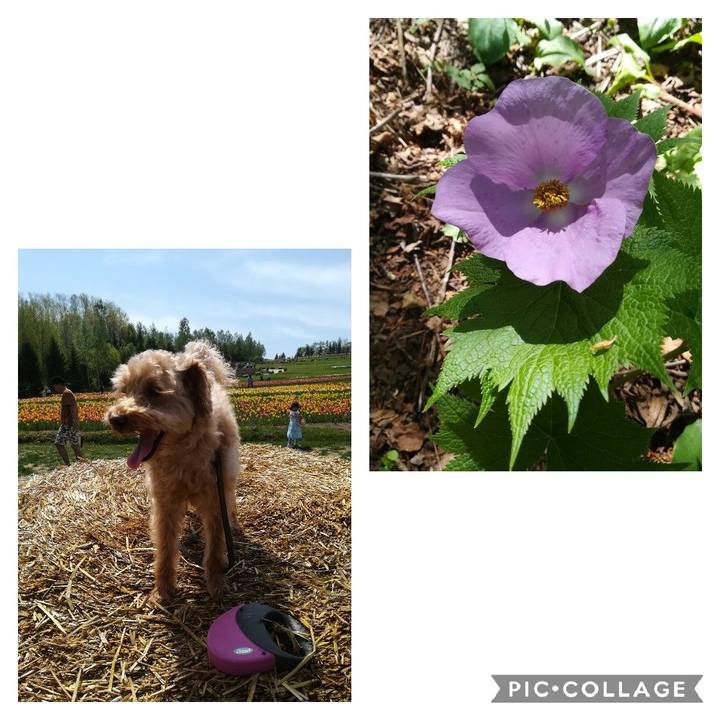 707a7752 47ac 4e40 bc68 0945ed142958 1558354911731