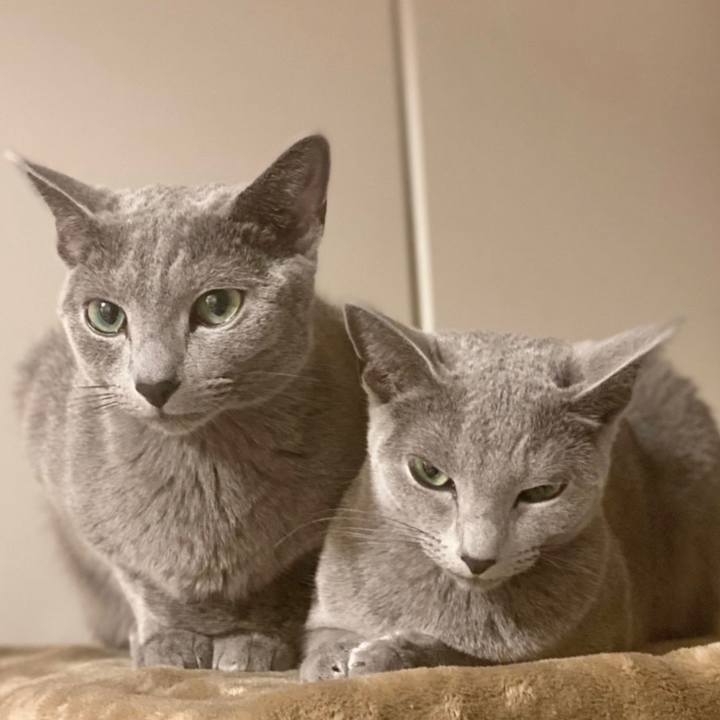 707a7e60 1acb 45ac 9b3f 8c5fbc49f68b 1635826910653