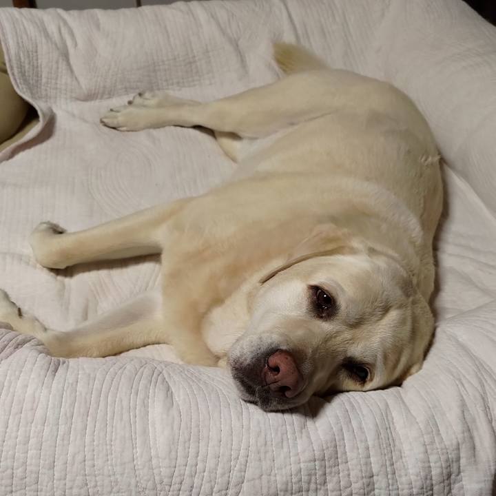 707aac6b 0798 4389 bf38 b9f03d32add4 1716435321842