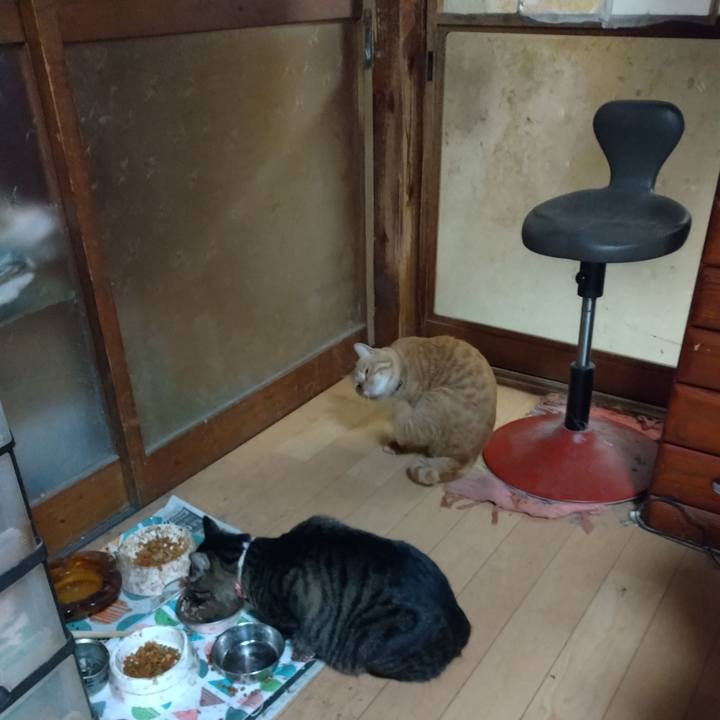 707ad8cb 787f 49cb b470 a168b0528652 1667385948846