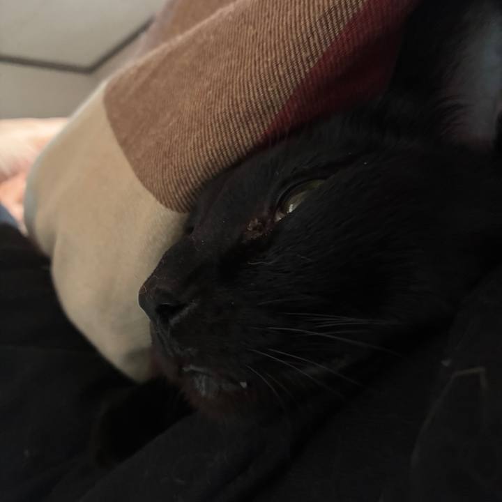 707af3ee 3c4f 430b a38e ea4b0a7105ab 1745697354717