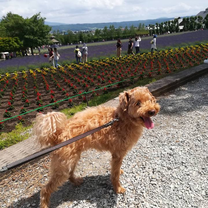 707b1ae6 58c2 48ff 8ed9 fd516061affc 1530335630183