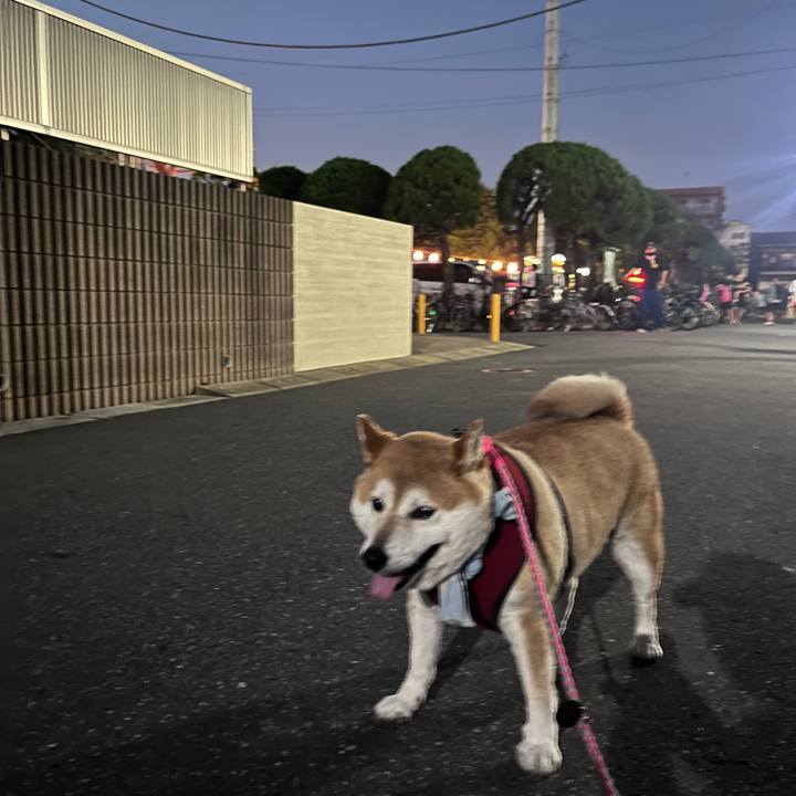 707b3afd be54 41a9 a78c ea8d03cee804 1722681056385