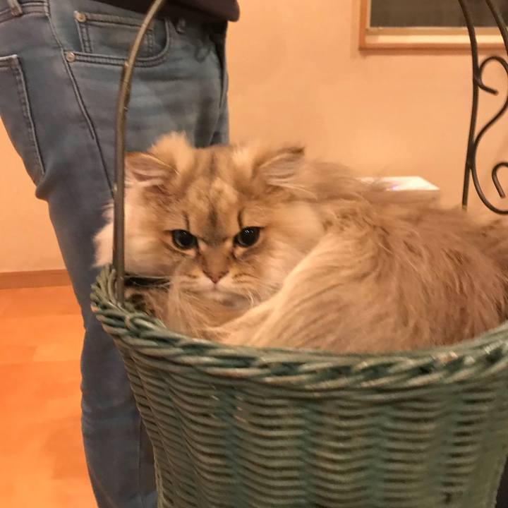 707b7dcc 11bb 47c0 ac81 5a24b64ec83f 1584306819743