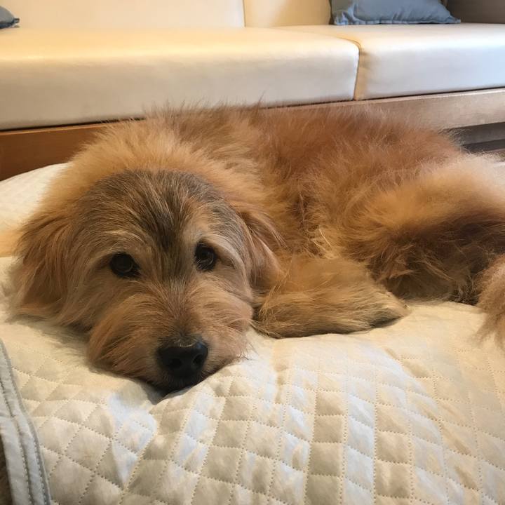 707b90f8 b906 4e91 91ff 644eda3b7b31 1638945416828