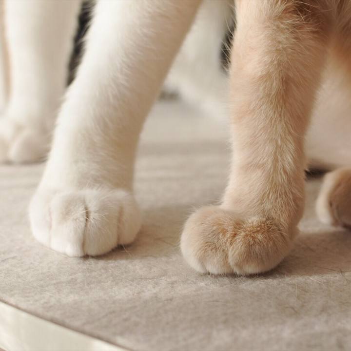 707ba453 9f77 460d a828 d98fd36552bd 1548318314865