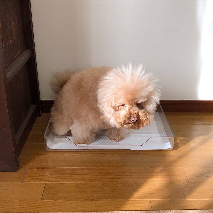 707bbcb6 dc9e 4036 87b5 ecb4bc1c0a8b 1548992226668