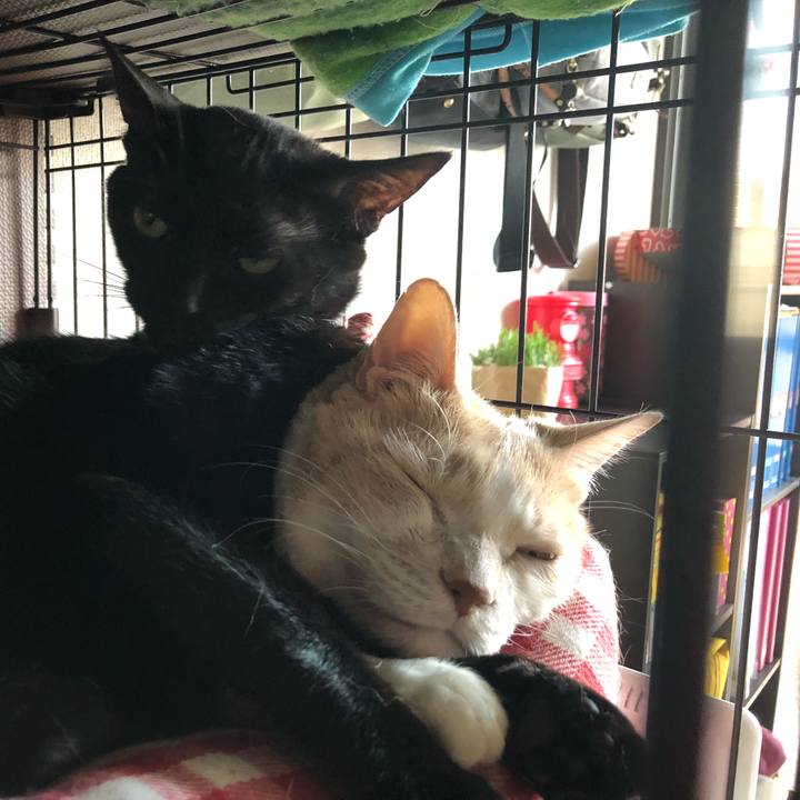 707bec26 0108 41d7 8968 bd779d4f0be4 1515992195143