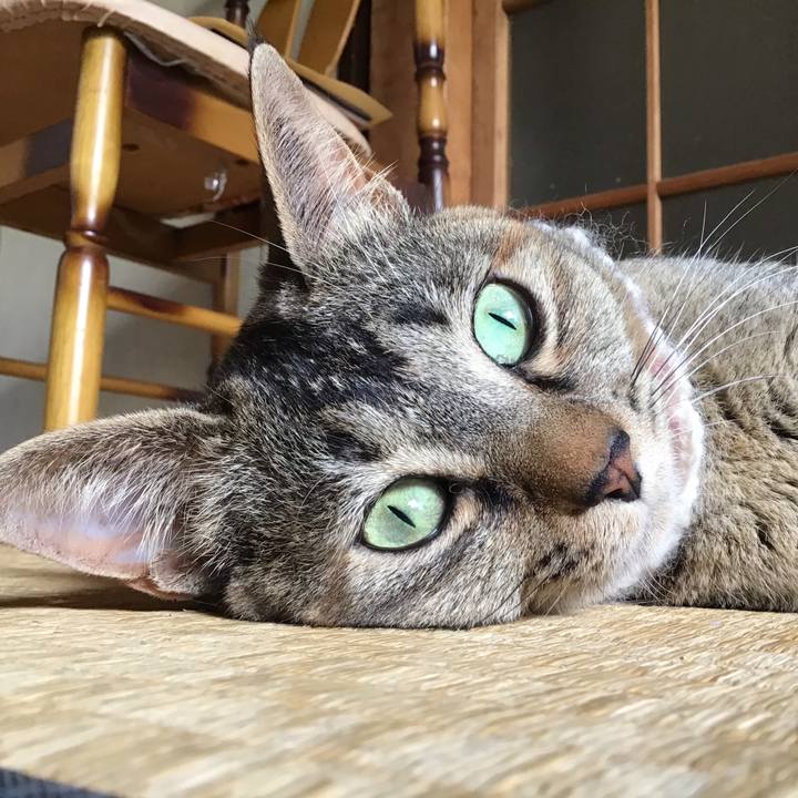 707c23d6 2f2f 4b6c 9636 11dbf1bc0d77 1621296080480