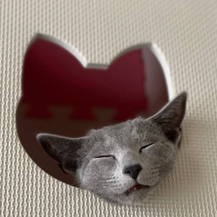 707c2511 dba1 4acc 8fc1 eb5aaec77a1e 1606175418507