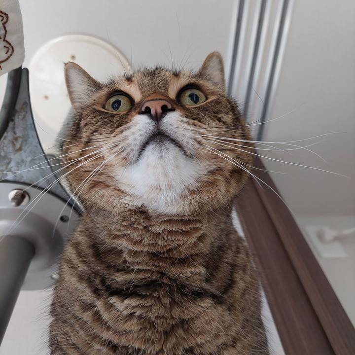 707c4dad 583c 44ce 9d78 3fa733f288b3 1697242316910