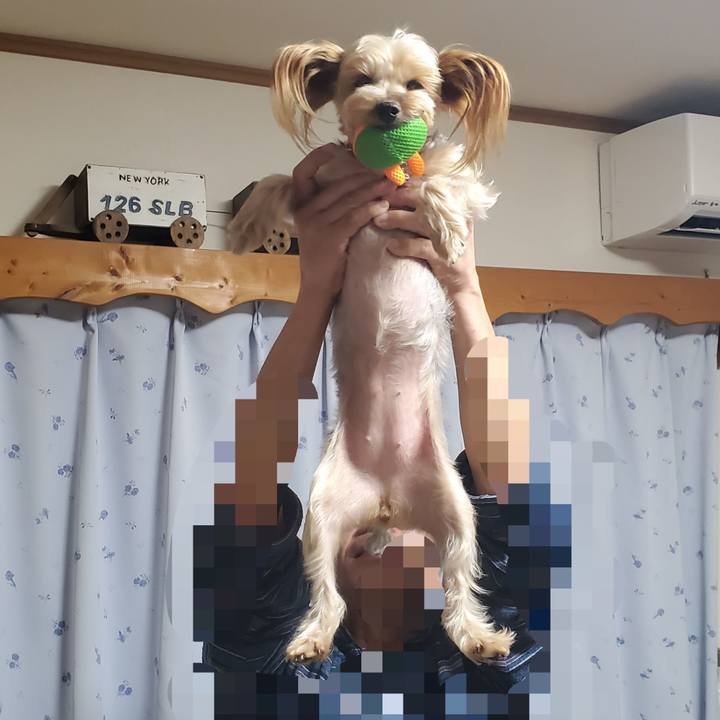 707c4ebd 72f2 4144 a431 3f2b032e369c 1610711651498