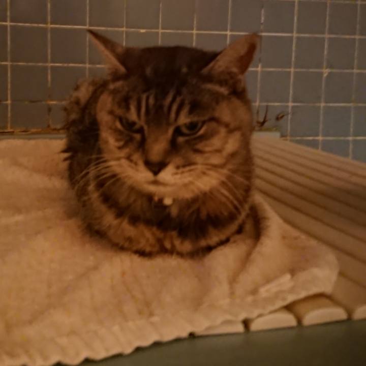 707c853a badc 41bc b525 8b61c228416a 1573980706761