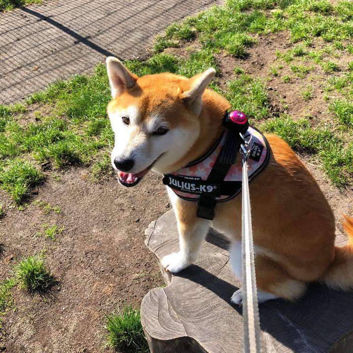 707cad1a 6a91 4d95 96e8 0dbbf4866792 1566867119131