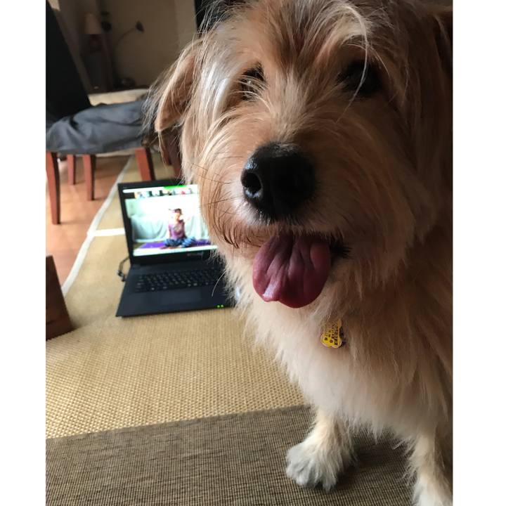 707cba53 198e 4405 b05b 6b592d14f3d3 1589611390249