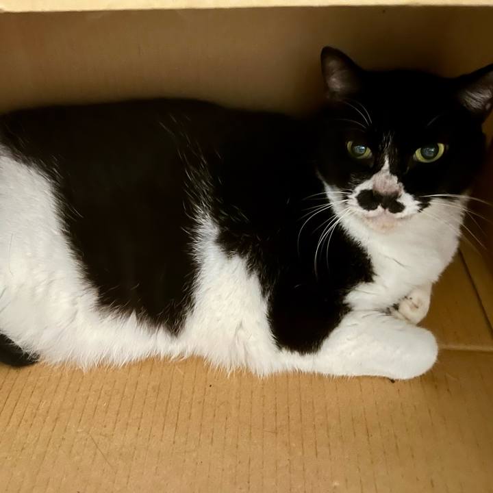 707cc0a7 6f0a 44d3 9dbf c669cfcafe15 1714262121646