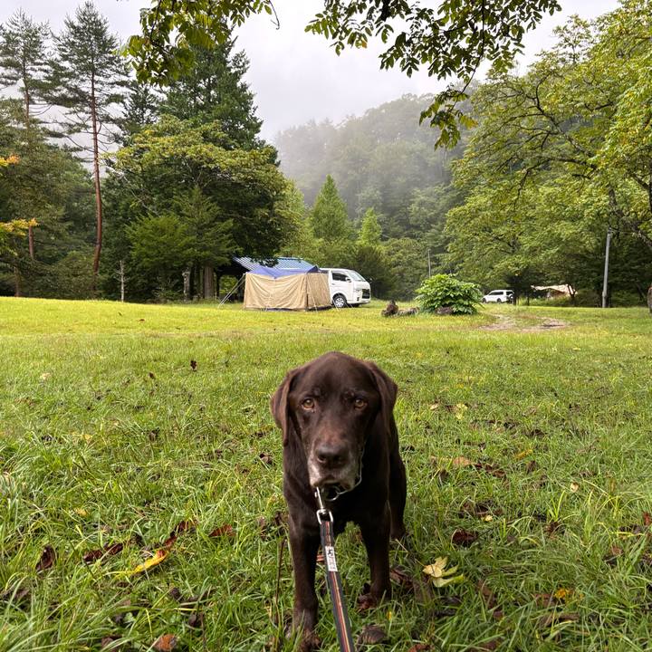 707cde5b c4c2 4b94 a0fd c27fefd4e793 1757758274673