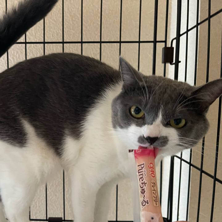 707ce348 dba3 48f9 83a7 b22711b41a57 1661323211176