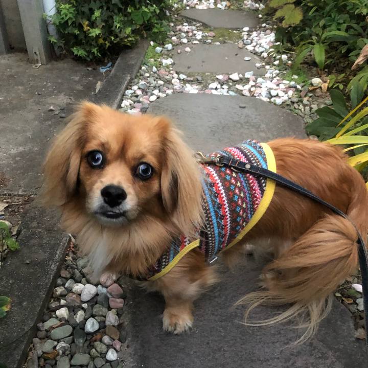 707d3948 64c8 477e 97bc f1431d832b92 1543269762081