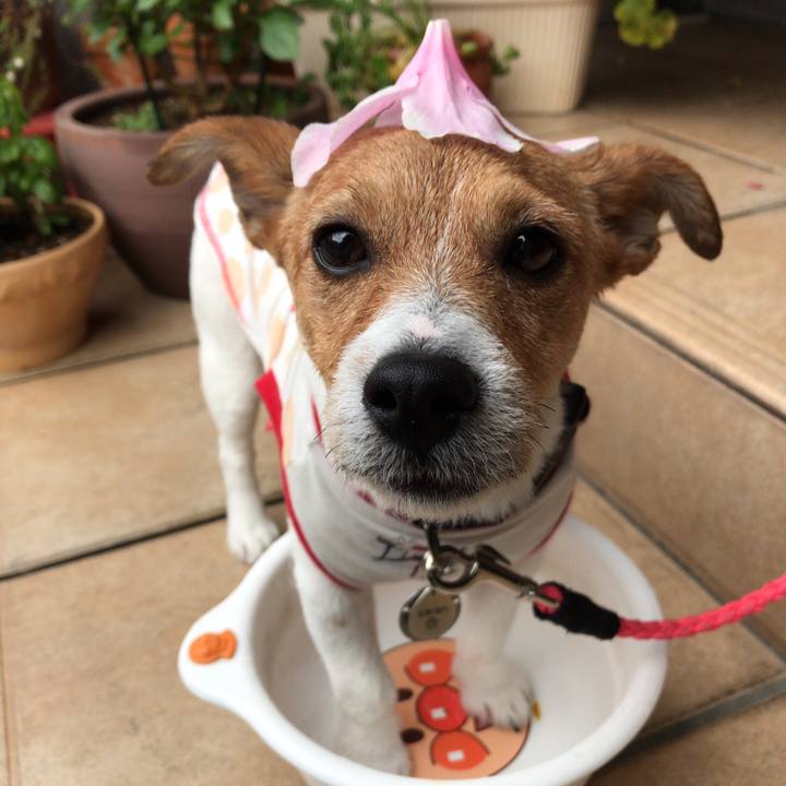 707d3a3d e9be 456f 8b77 fdf909da75ce 1557445626207