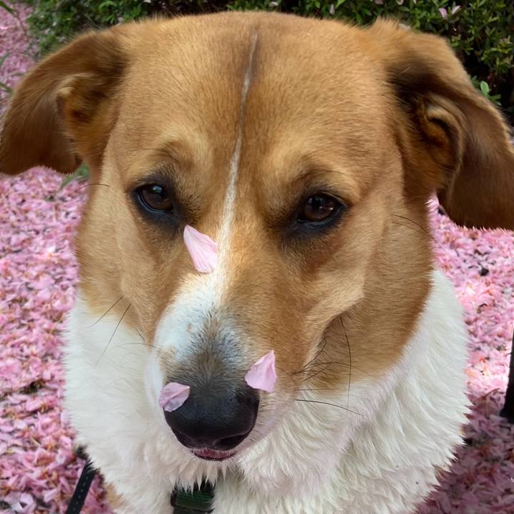 707d6bfc 4791 42c1 87f8 763f7008d696 1714089804867