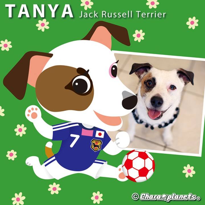 707d9086 e910 45b0 a58c 580d4ed27fd0 1563158370258