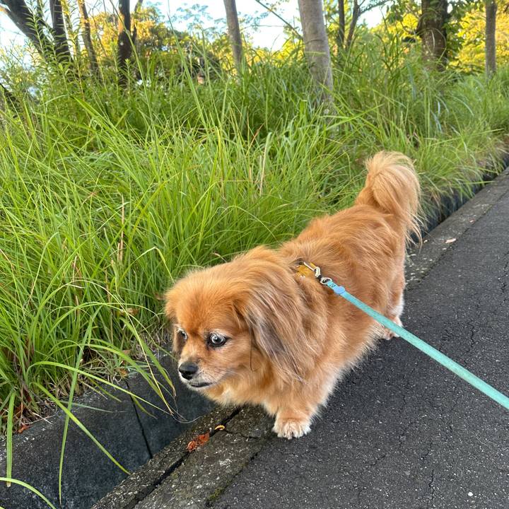 707da438 6c4e 4efb 9683 a514bffbae82 1757108194947