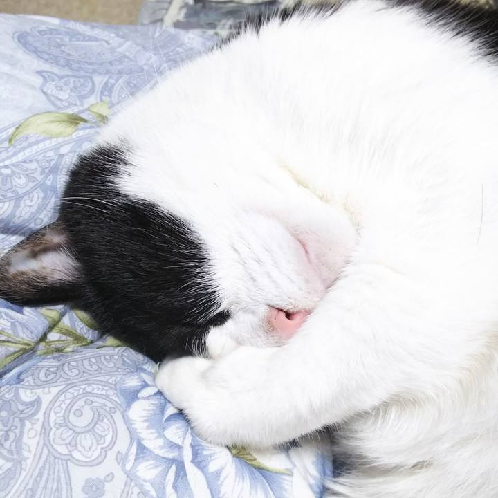 707dc256 035c 4bb0 98e3 8bb9875709ad 1546690448742