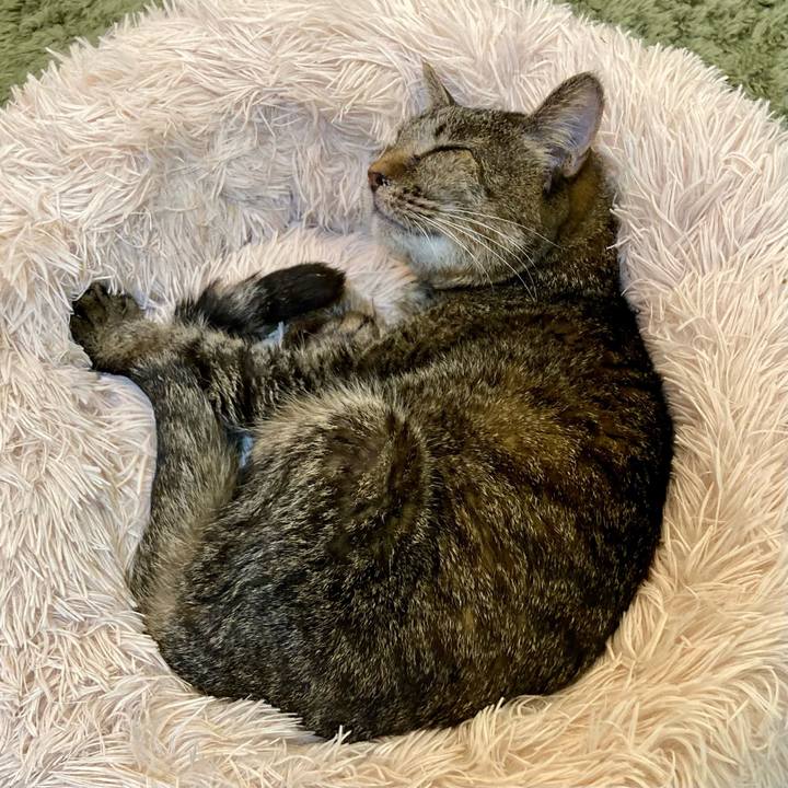 707dd10d ef65 4a6a 94f7 5b800ed948b6 1686826063889