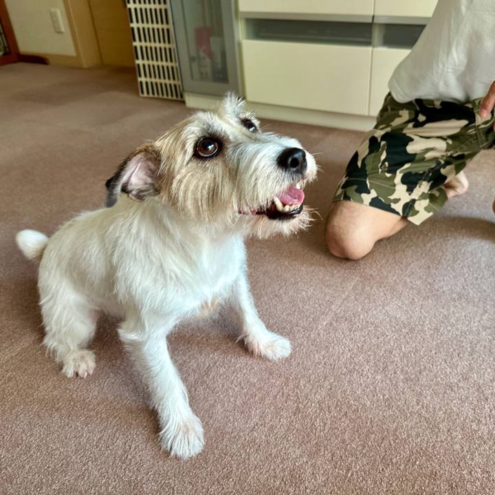 707dd863 2ab5 4992 9b2e 2aa6ff891656 1756015214900